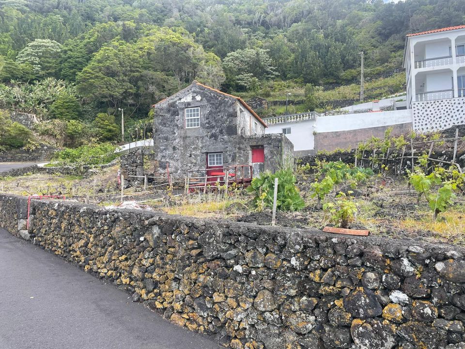Ruinere i Lajes do Pico, Pico - foto 3